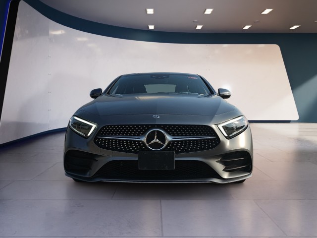 2019 Mercedes-Benz CLS CLS 450 8