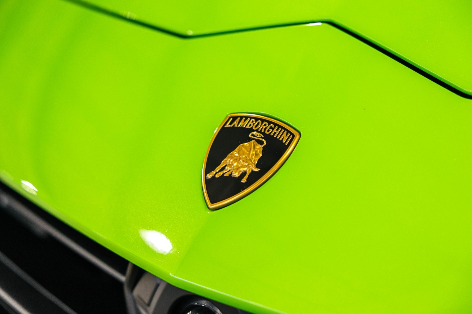 Used Car 2023 Lamborghini Urus  S For Sale Under $250,000 In Boerne, Texas