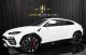 2019  Urus *HEAVILY OPTIONED* *BIG INTERIOR CARBON PACKAGE* *23s* *Q-CITURA in , 