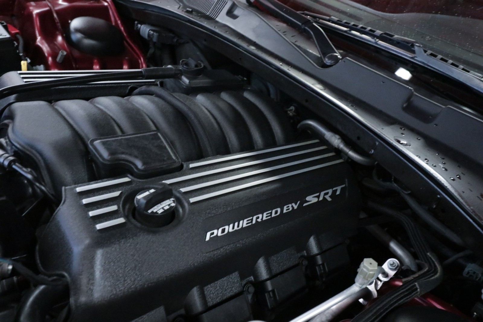 Used Car 2023 Dodge Charger  Scat Pack For Sale Under $50,000 In Austin, Texas