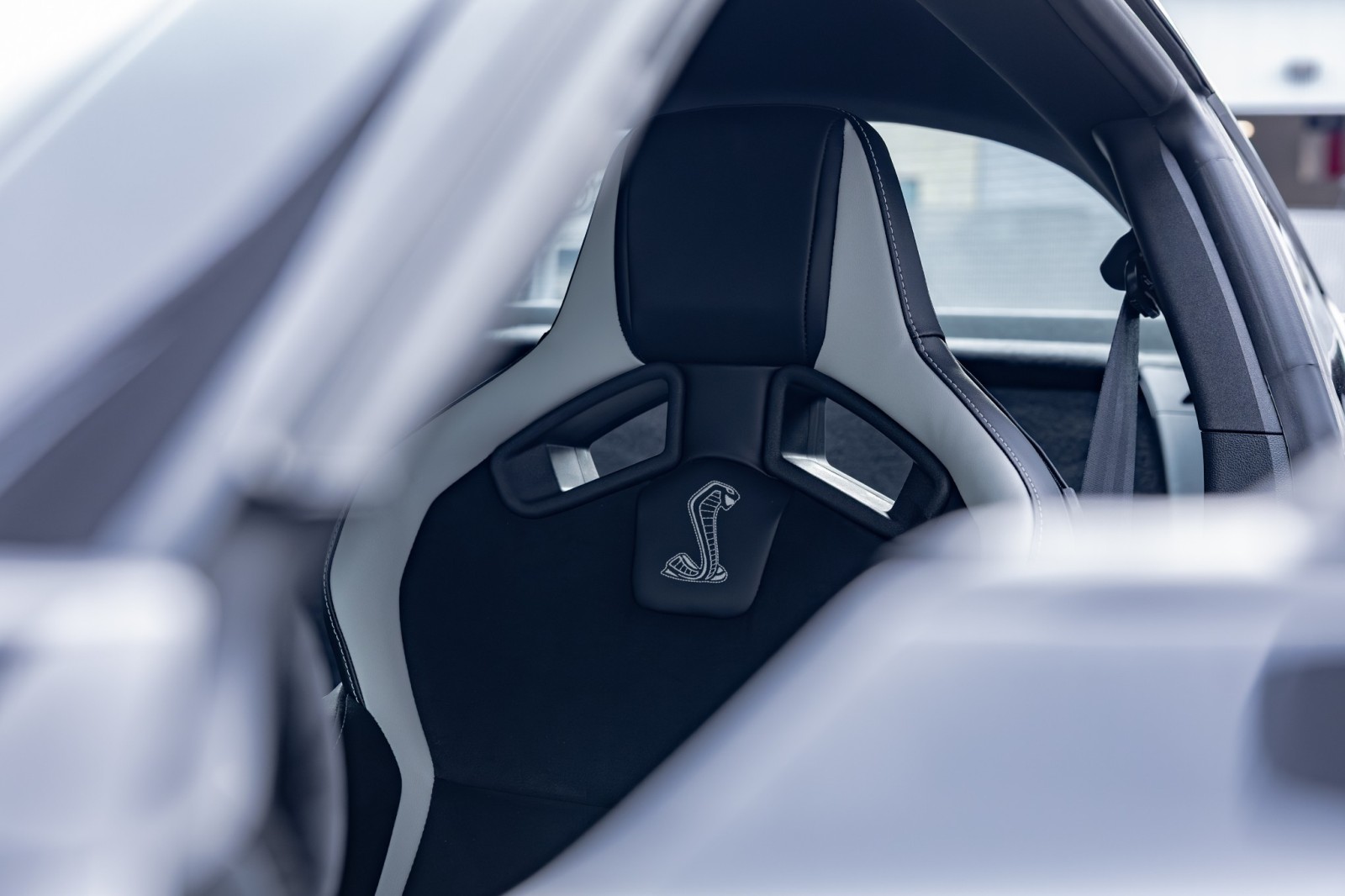 Used Car 2022 Ford Mustang  Shelby Gt500 For Sale Under $120,000 In Boerne, Texas