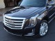 2017  Escalade Platinum in , 