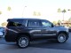 2017  Escalade Platinum in , 