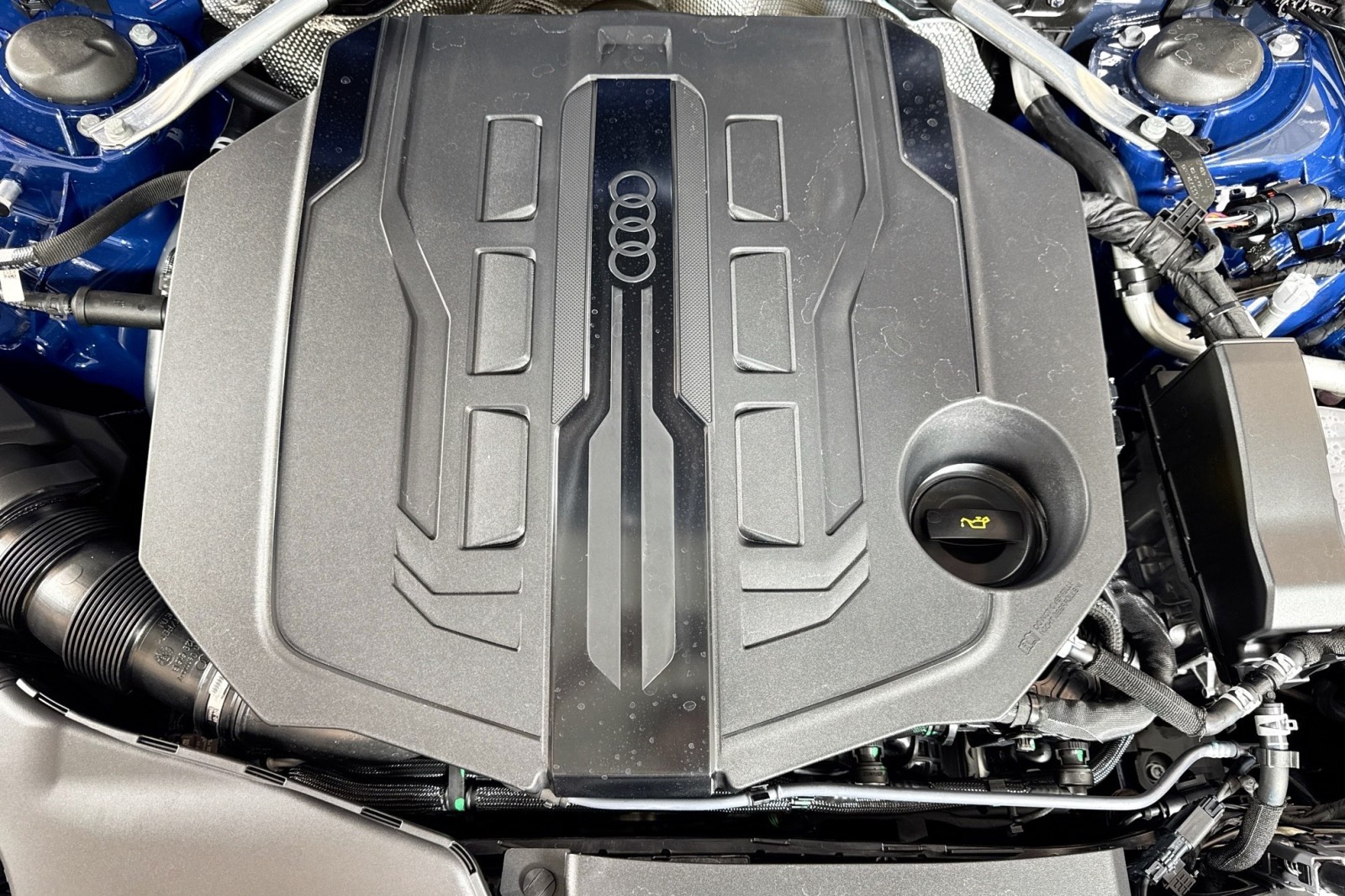 New 2026 ASCARI BLUE Audi Prestige quattro image 26