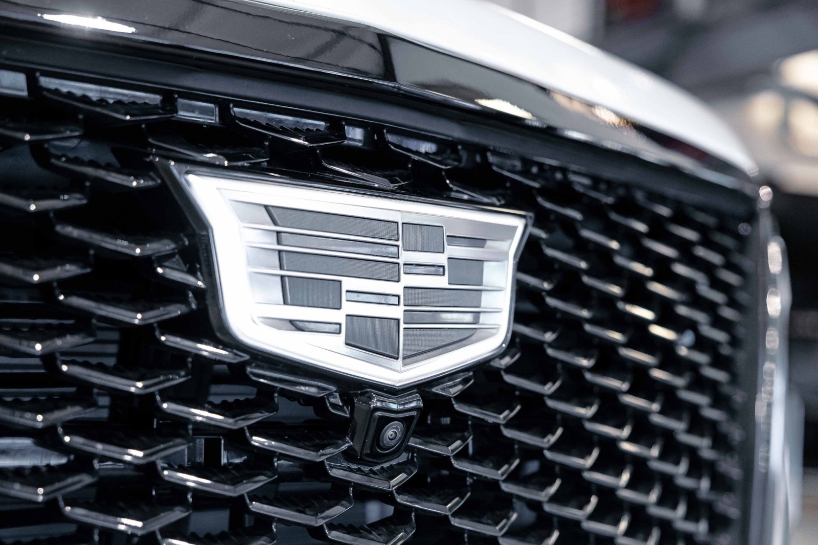 Used Car 2025 Cadillac Escalade  4wd Sport Platinum For Sale Under $130,000 In Boerne, Texas