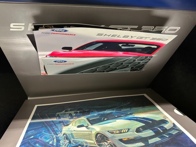 2016 Ford Mustang Shelby GT350R in , 