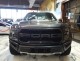 2019 Ford F-150 Raptor 4WD in Springfield, New Jersey