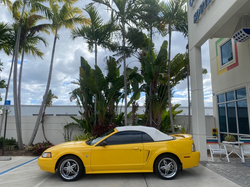 1999 Ford Mustang GT LOW MILES 8,145 1 OWNER FL CONV in , 
