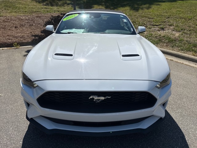 FordMustang2