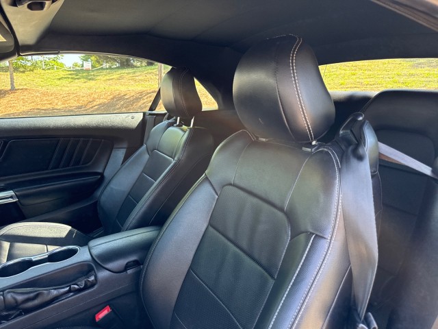 FordMustang21