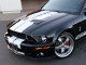 2007  Mustang Shelby GT500 in , 