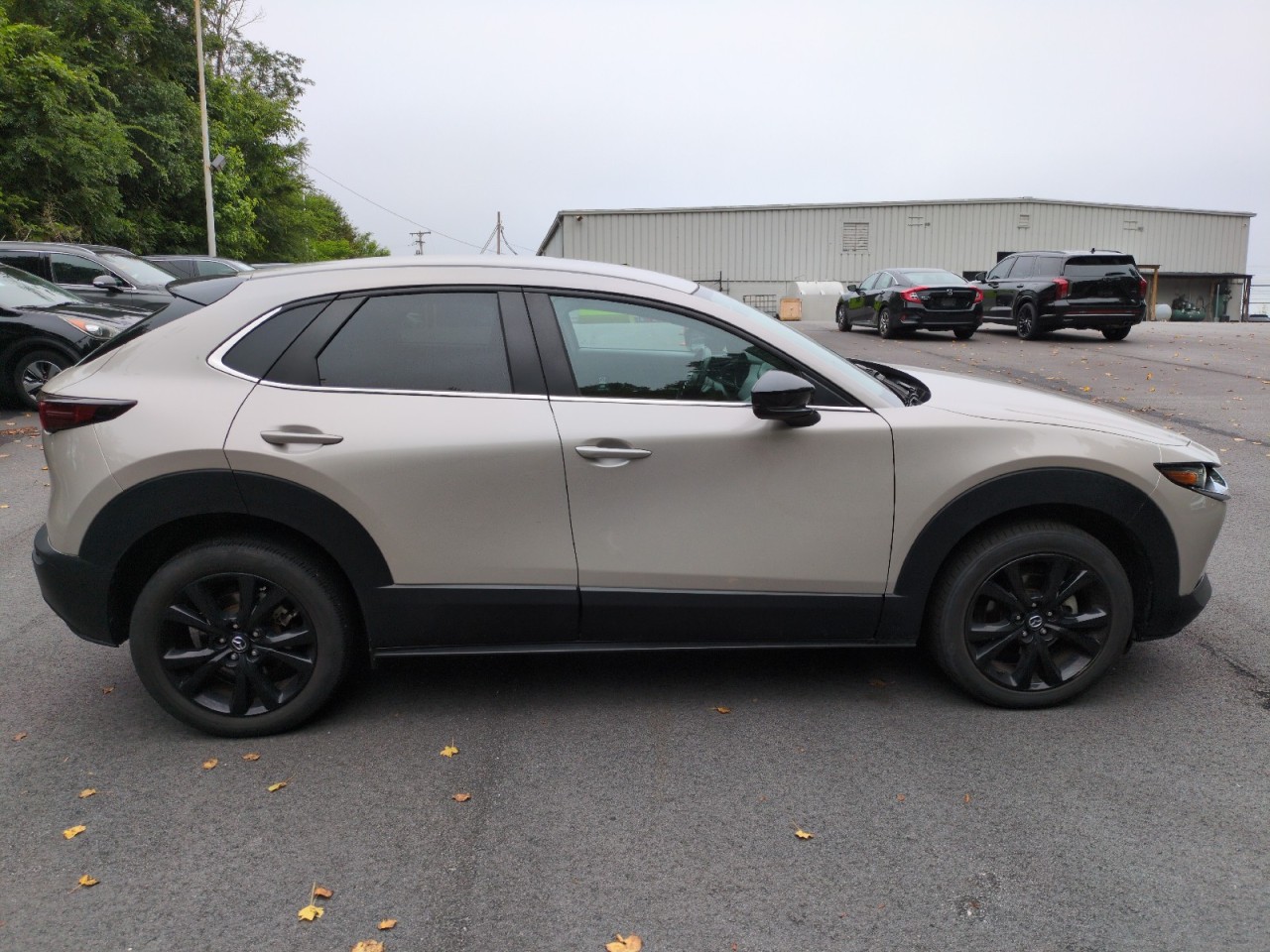 View vehicle photo 5