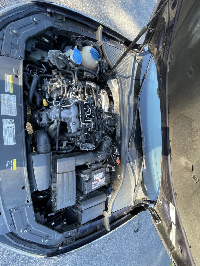 2014 Volkswagen Passat TDI SE w/Sunroof in , 