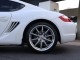 2007  Cayman  in , 