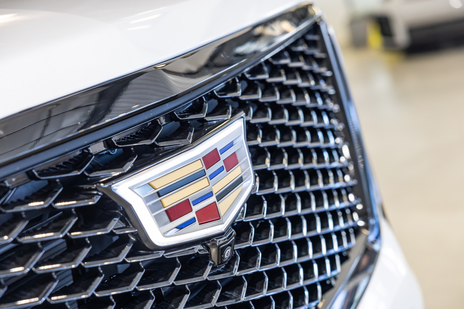 Used Car 2025 Cadillac Escalade  4wd Sport Platinum - 24 Inch Wheels - Crystal White Paint For Sale Under $120,000 In Boerne, Texas