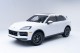 2025  Cayenne  in , 