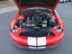 2008  Mustang Shelby GT500 in , 