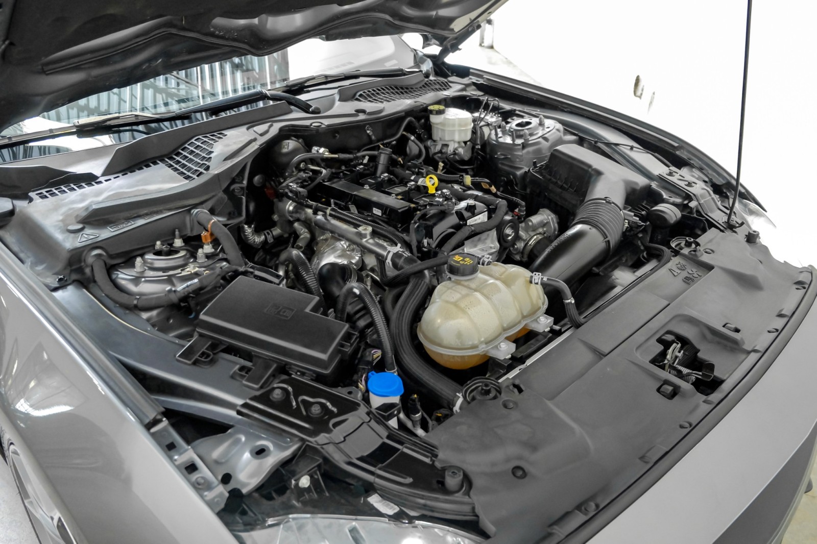2021 Ford Mustang EcoBoost Fastback Auto 101APkg SafeSoundPkg 20Allo 43