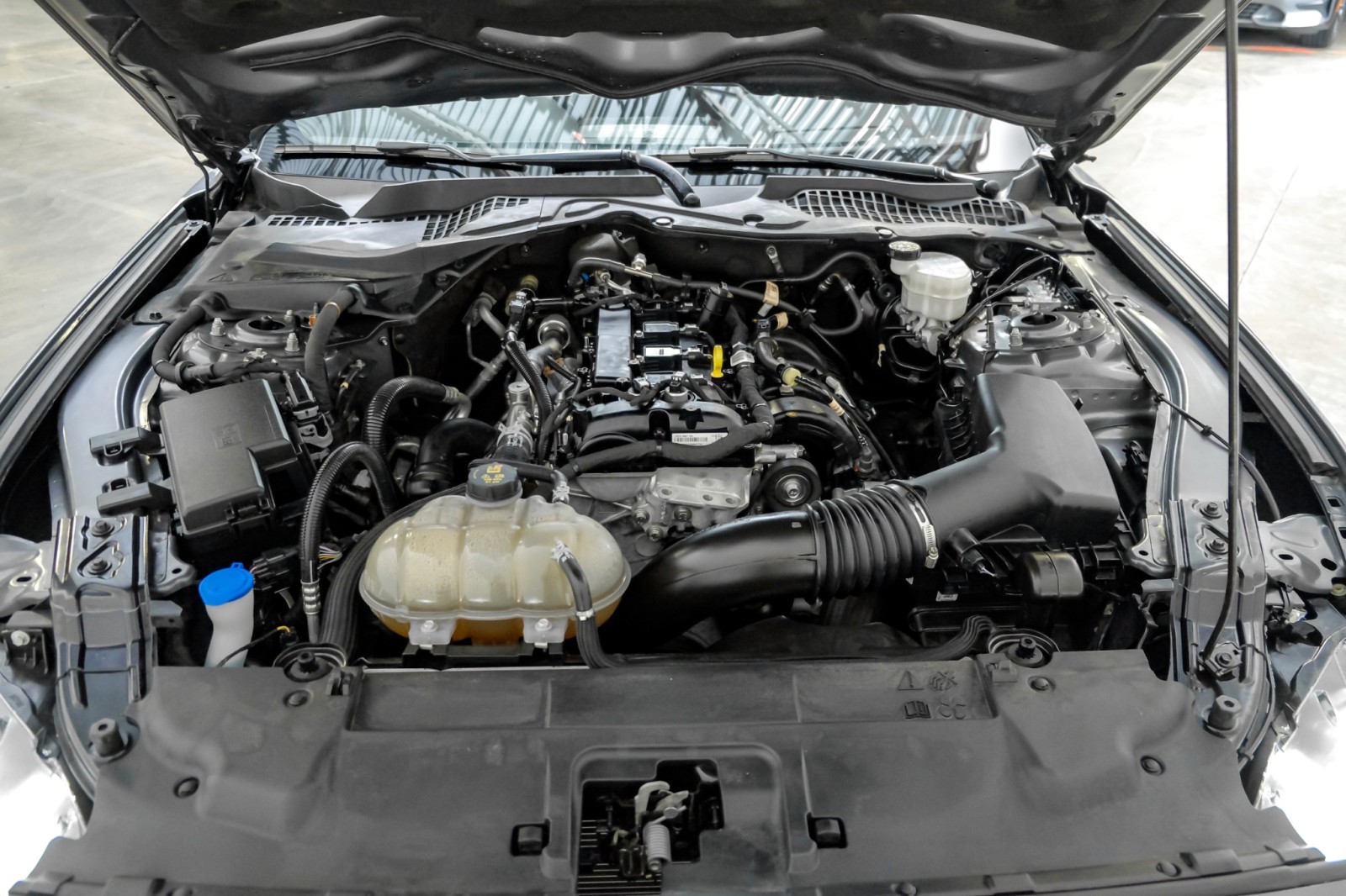 2021 Ford Mustang EcoBoost Fastback Auto 101APkg SafeSoundPkg 20Allo 42