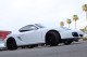2011  Cayman  in , 