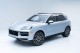 2025  Cayenne  in , 