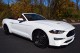 2019  Mustang EcoBoost Premium Convertible in , 