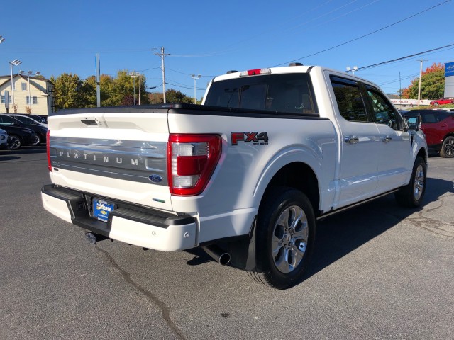 2022 Ford F-150 Platinum 6