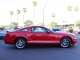 2008  Mustang Shelby GT500 in , 