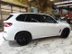 2023 BMW X5 xDrive40i in Springfield, New Jersey