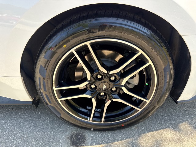 FordMustang14
