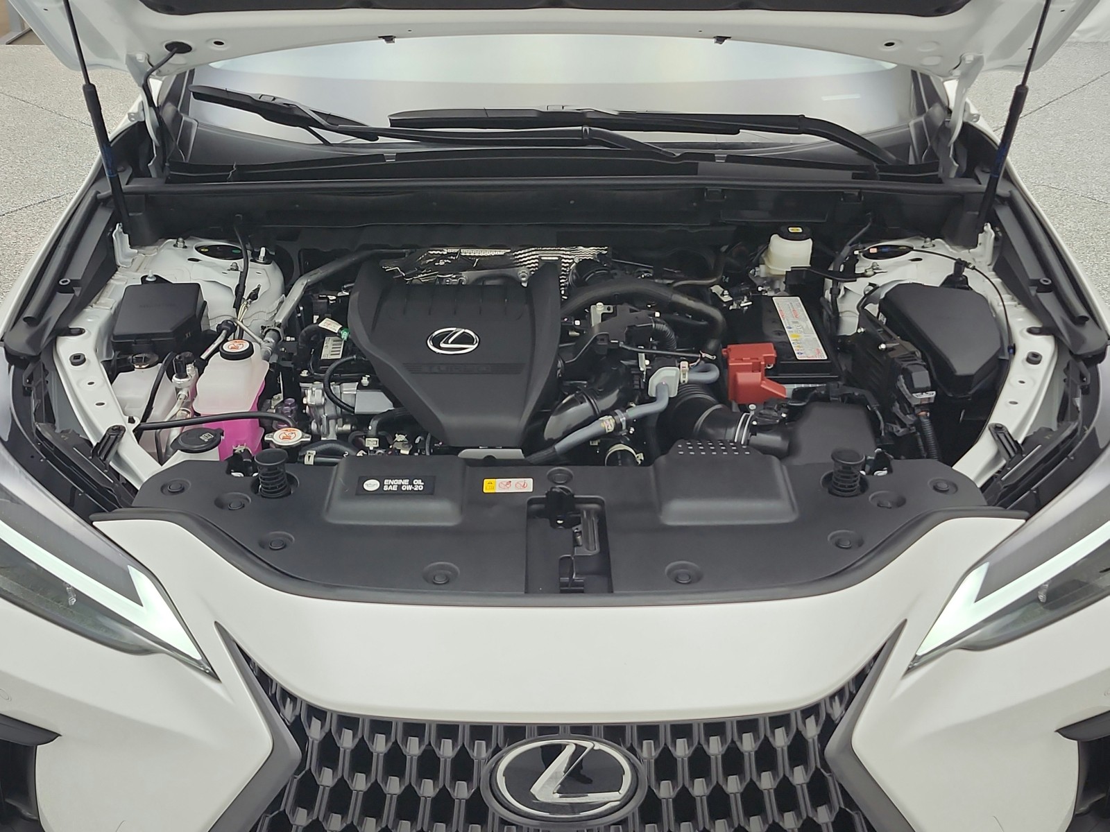 Used 2025 Eminent White Pearl Lexus NX 350 Premium AWD image 21