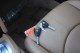 2009  Cayman  in , 