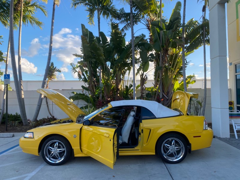 1999 Ford Mustang GT LOW MILES 8,145 1 OWNER FL CONV in , 