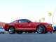 2008  Mustang Shelby GT500 in , 