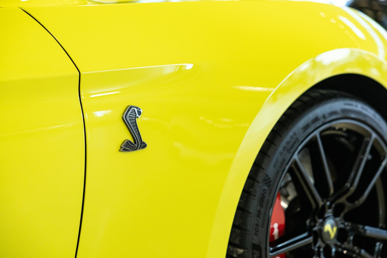 Used Car 2021 Ford Mustang  Shelby Gt500 For Sale Under $100,000 In Boerne, Texas