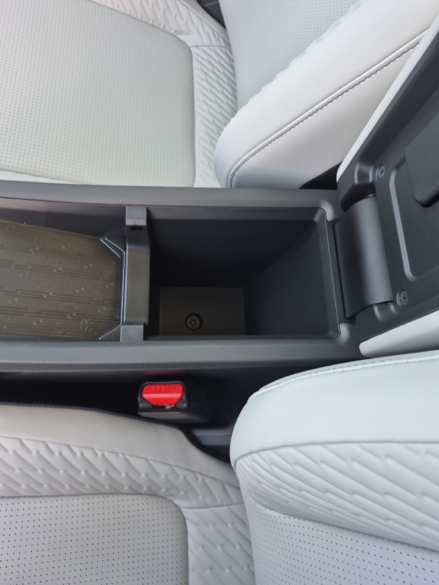 NissanLEAF33