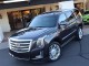 2017  Escalade Platinum in , 