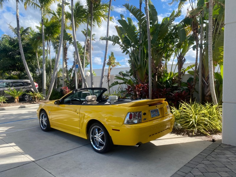 1999 Ford Mustang GT LOW MILES 8,145 1 OWNER FL CONV in , 