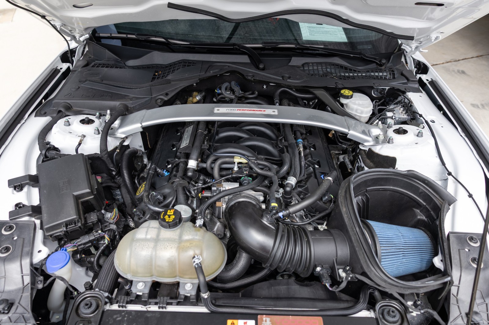 Used Car 2019 Ford Mustang  Shelby Gt350r For Sale Under $100,000 In Boerne, Texas