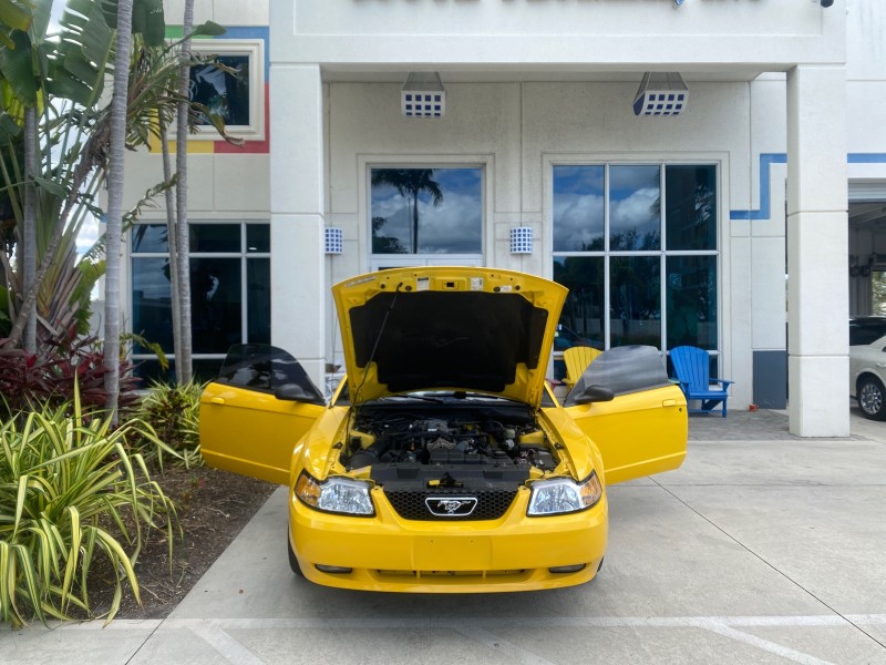 1999 Ford Mustang GT LOW MILES 8,145 1 OWNER FL CONV in , 