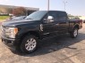 2017 Ford Super Duty F-250 SRW Platinum in Ft. Worth, Texas