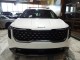 2025 Kia Carnival SX Prestige in Springfield, New Jersey