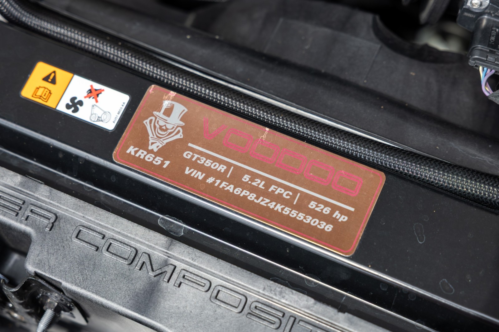 Used Car 2019 Ford Mustang  Shelby Gt350r For Sale Under $100,000 In Boerne, Texas