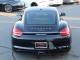 2015  Cayman  in , 