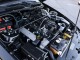 2007  Mustang Shelby GT500 in , 