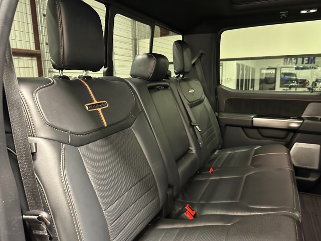 2023 Ford Super Duty F-250 SRW Platinum in , 