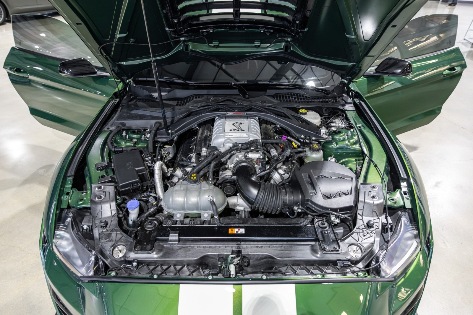 Used Car 2022 Ford Mustang  Shelby Gt500 For Sale Under $130,000 In Boerne, Texas