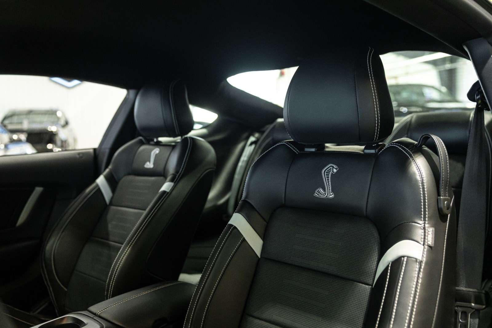 Used Car 2021 Ford Mustang  Shelby Gt500 For Sale Under $100,000 In Boerne, Texas