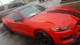 2016 Ford Mustang Shelby GT350 in Ft. Worth, Texas