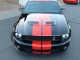 2007  Mustang Shelby GT500 in , 